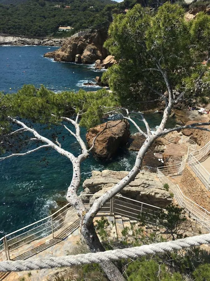 Cap Sa Sal - Sa Roca 2 Apartment Begur 0*,